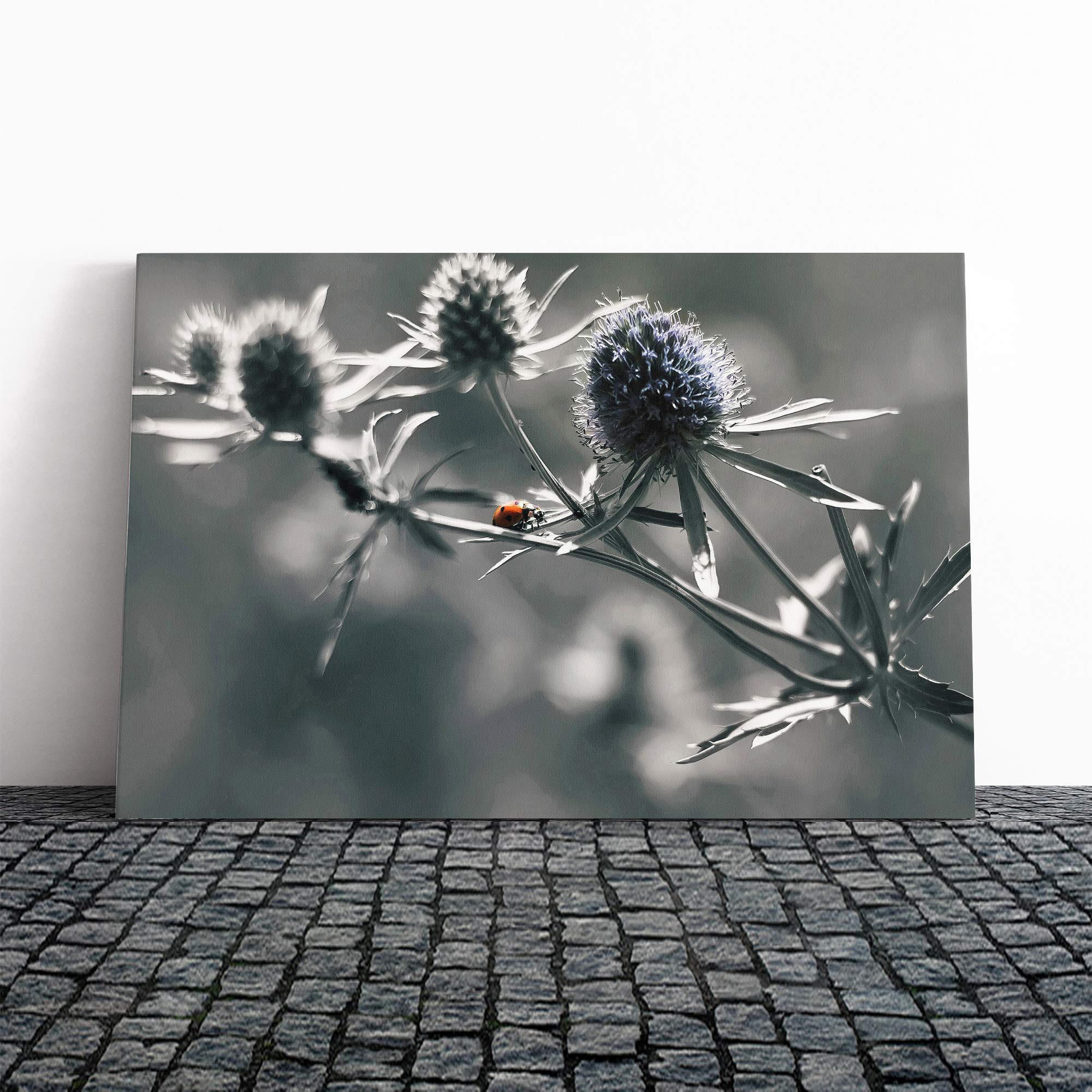 Ladybird Thistle Flower Canvas Print | Gallery Wrapped 30mm Frame Wall Art | 24x16 inches | Ready to Hang | Modern Animals Picture | Living Room Bedroom Lounge Office