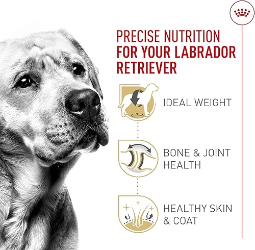 Miniatura 5 de Royal Canin Breed Health Nutrition Labrador Retriever Adult Dry Dog Food