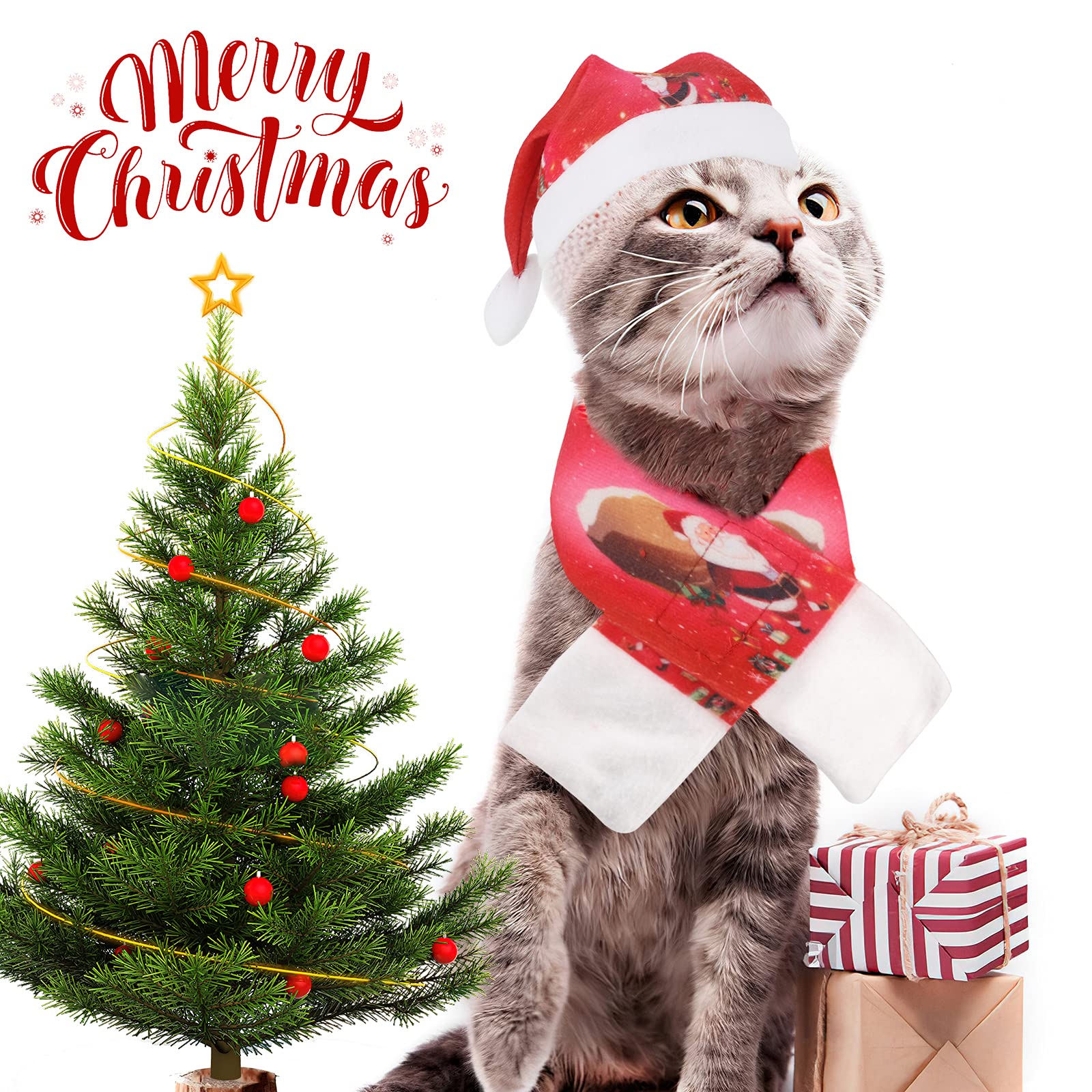 Acrilico Cartoon Cappello di Babbo Natale Ragdolll Gatto Orecchini Peloso Gattino Animali Domestici Pendenti Novità Gioielli Regali di Natale Per Le Donne Festival Charms, Medio, Acrilico, Nessuna