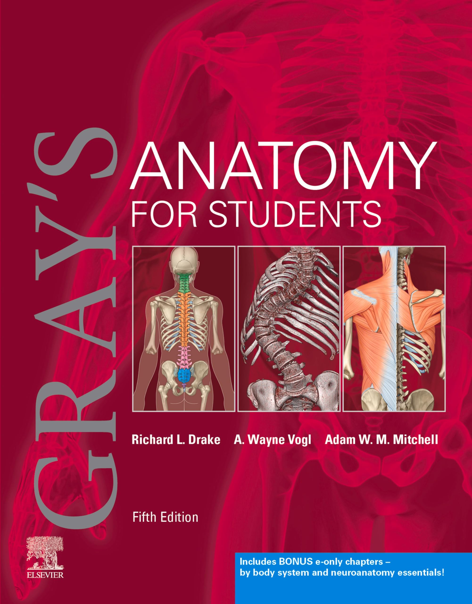 Gray's Anatomy for Students E-Book (English Edition)