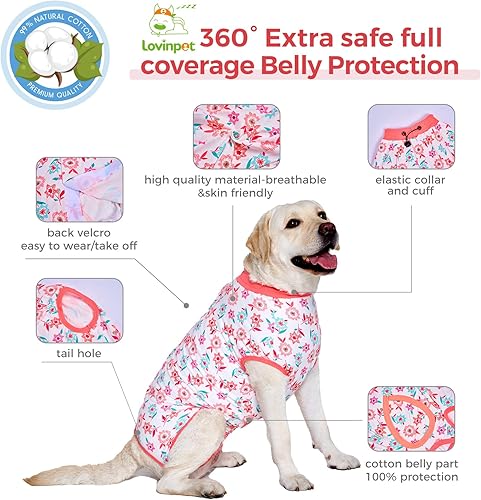 Miniatura 7 de LovinPet Trajes de cuerpo para perros después de la cirugía  Traje de recuperación de cirugía para perros hembras y machos, protección antilamidas,