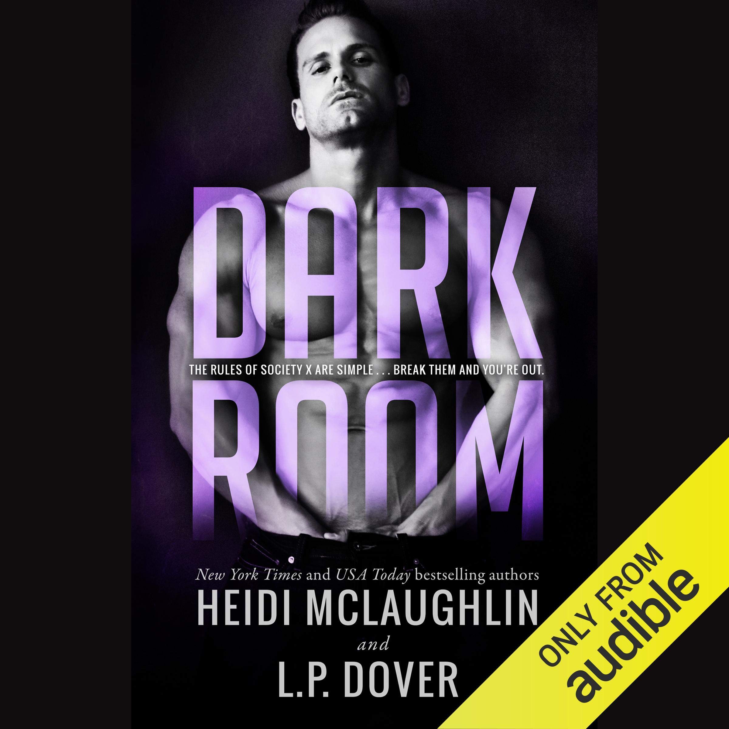 Cover art for Dark Room