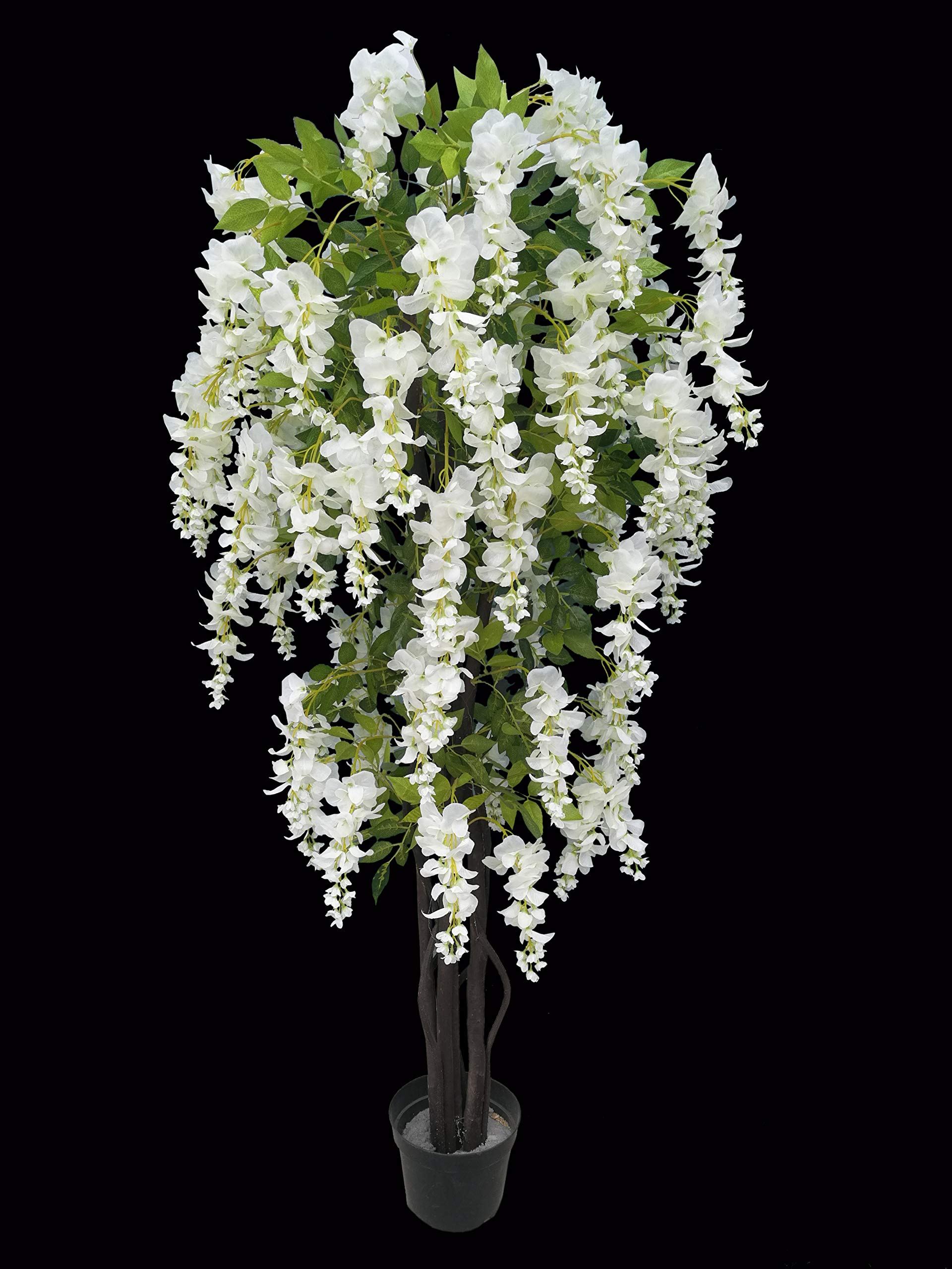 AMERIQUE 5ft Wisteria Silk Tree