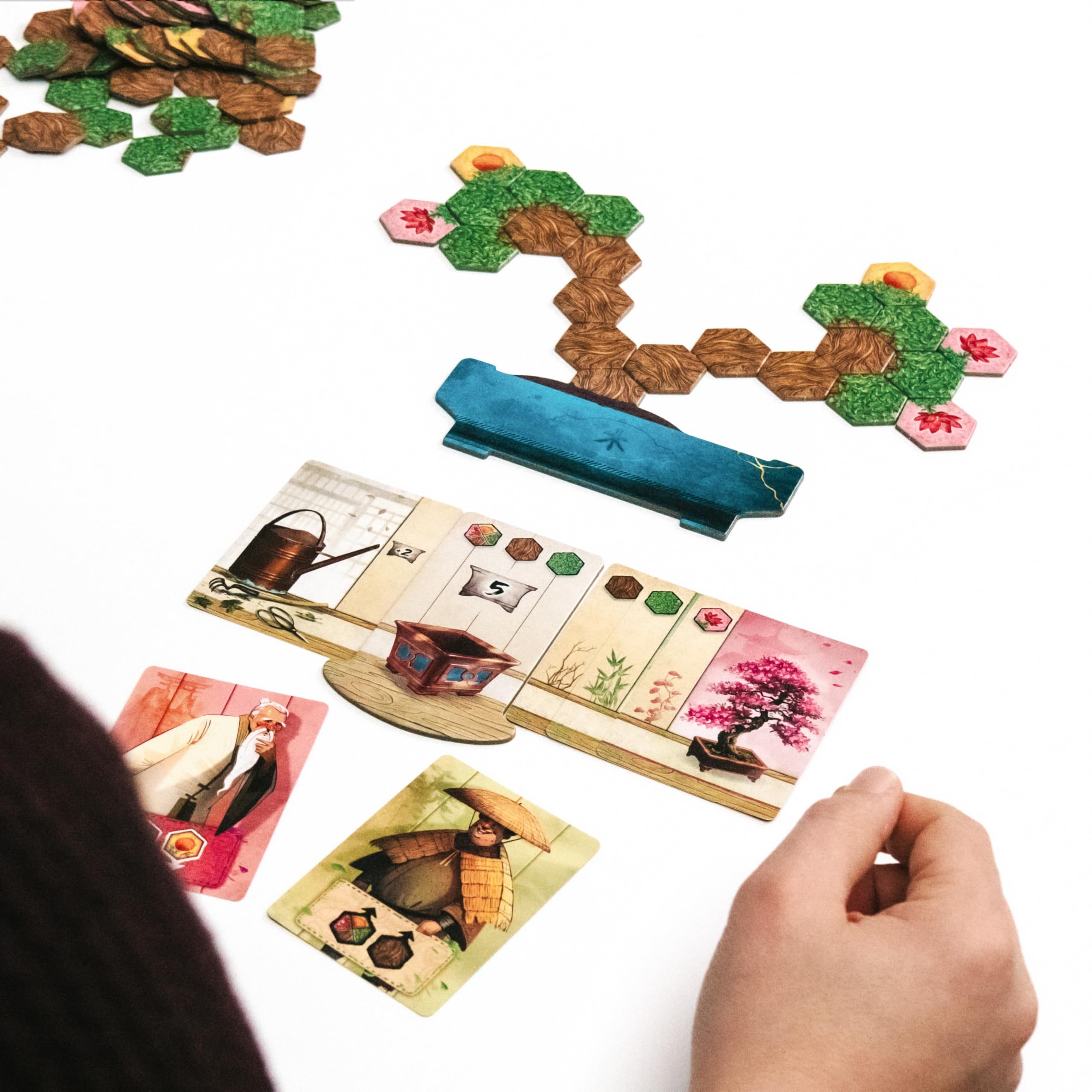 Bonsai  Brettspiel  Kartenspiel  Karte nach Karte wchst Ihr Bonsai vor  Ihnen  10+ Jahre + 1-4 Spieler  40 Minuten  italienische Ausgabe:  Amazon.de: Spielzeug