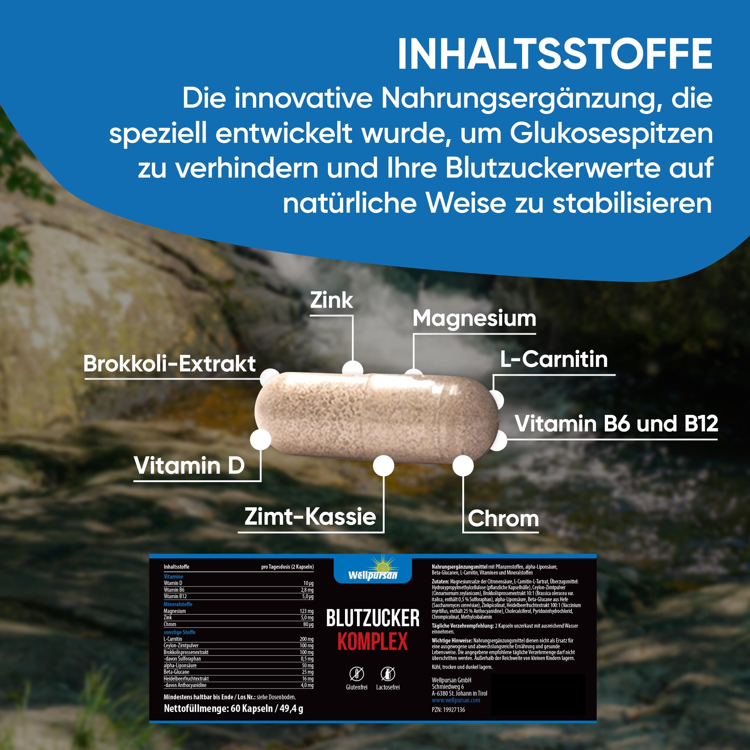 Wellpursan Blutzucker Komplex (60 Kapseln) - zur Unterstützung des Zuckerspiegels - Nahrungsergänzungsmittel für stabilen Blutzucker - Glukosespitzen vermeiden mit L-Carnitin, Vitamin D & Zink