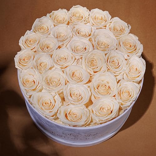 Miniatura 10 de Forever Real Roses en caja de gamuza, 17 piezas de rosas en una caja, rosas reales preservadas que duran más de un año, flores preservadas para