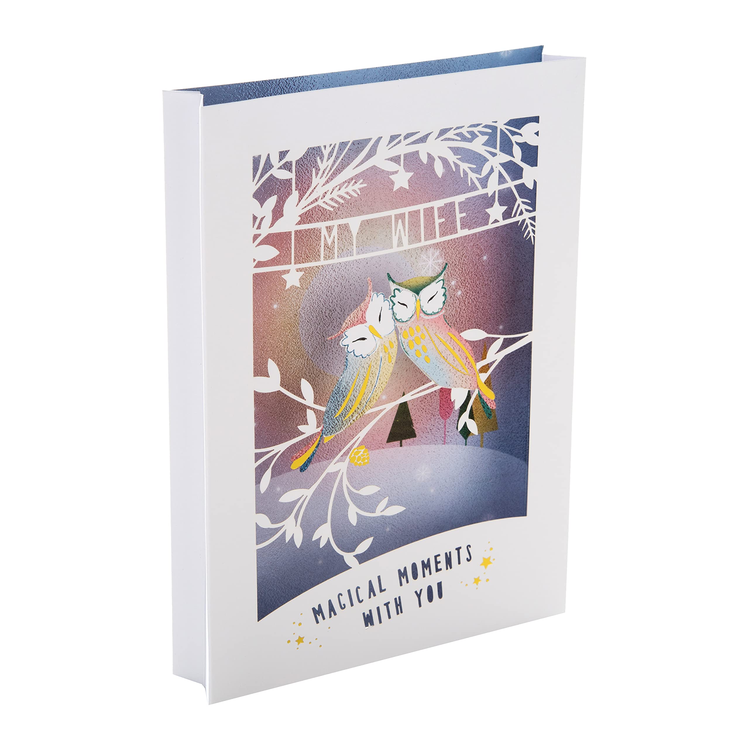 Hallmark Christmas Card for Wife - Traditional 3D Shadowbox Design, Owl 3D Shadowbox Card, 22.1 cm by 15.2 cm by 2.5 cm
