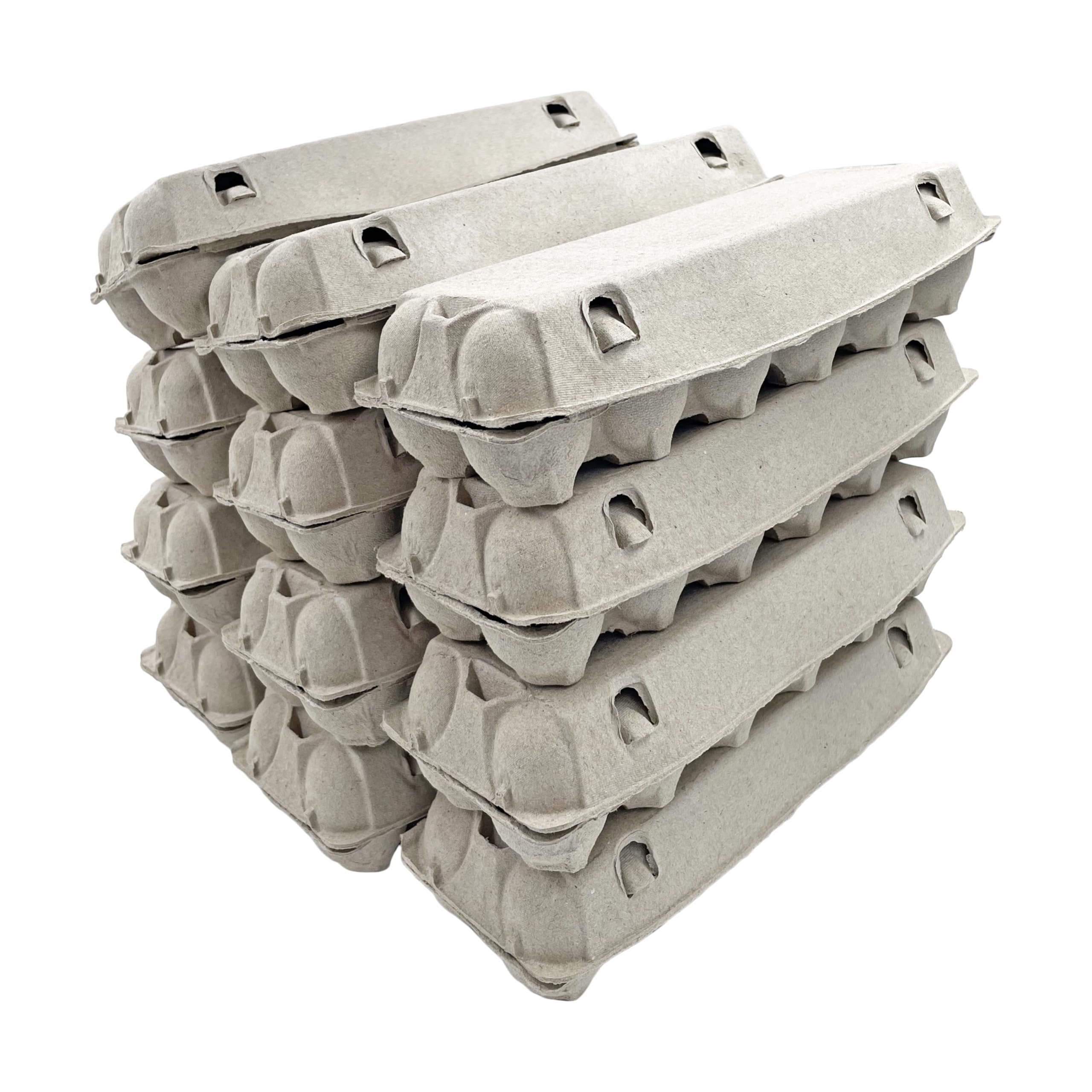 Egg Carton | Natural Pulp by Dasher's Spice & Beans | Holds One Dozen Eggs | Arts & Crafts Paint Holder | Pack of 12 - Image 4
