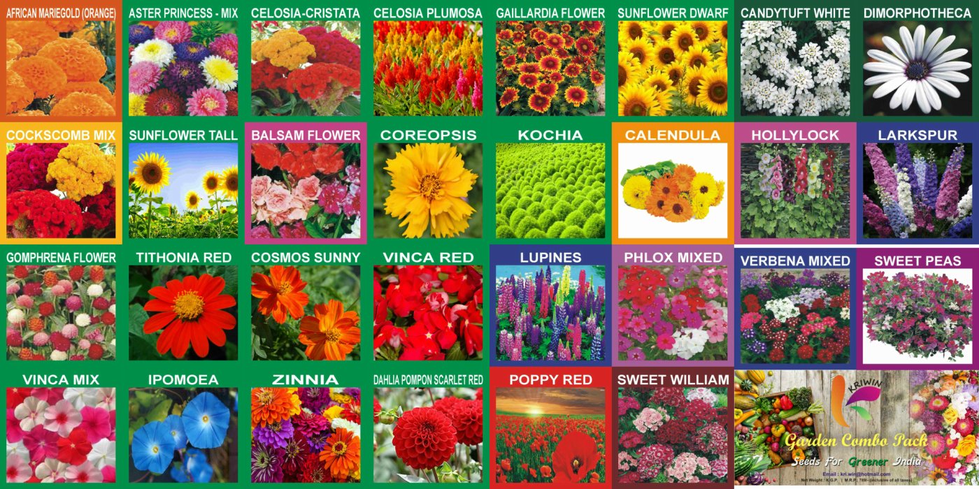 KRIWIN 30 Varieties Flower Seeds Combo 5220+ seeds with Start your Own Garden Guide Booklet (B077SRH94G) Amazon Price History, Amazon Price Tracker