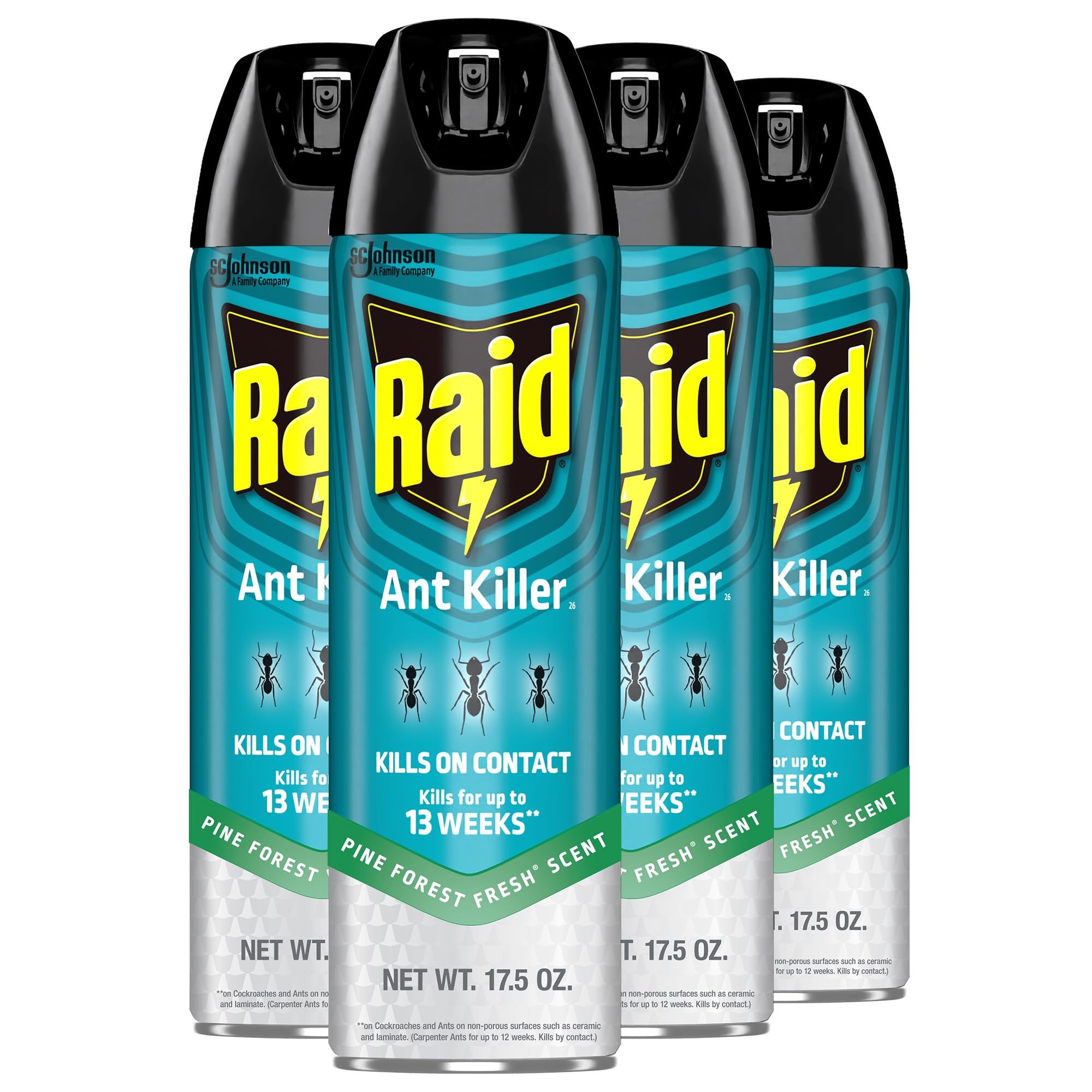 Amazon.com: Raid Ant Killer Spray Kills on Contact Pine Forest