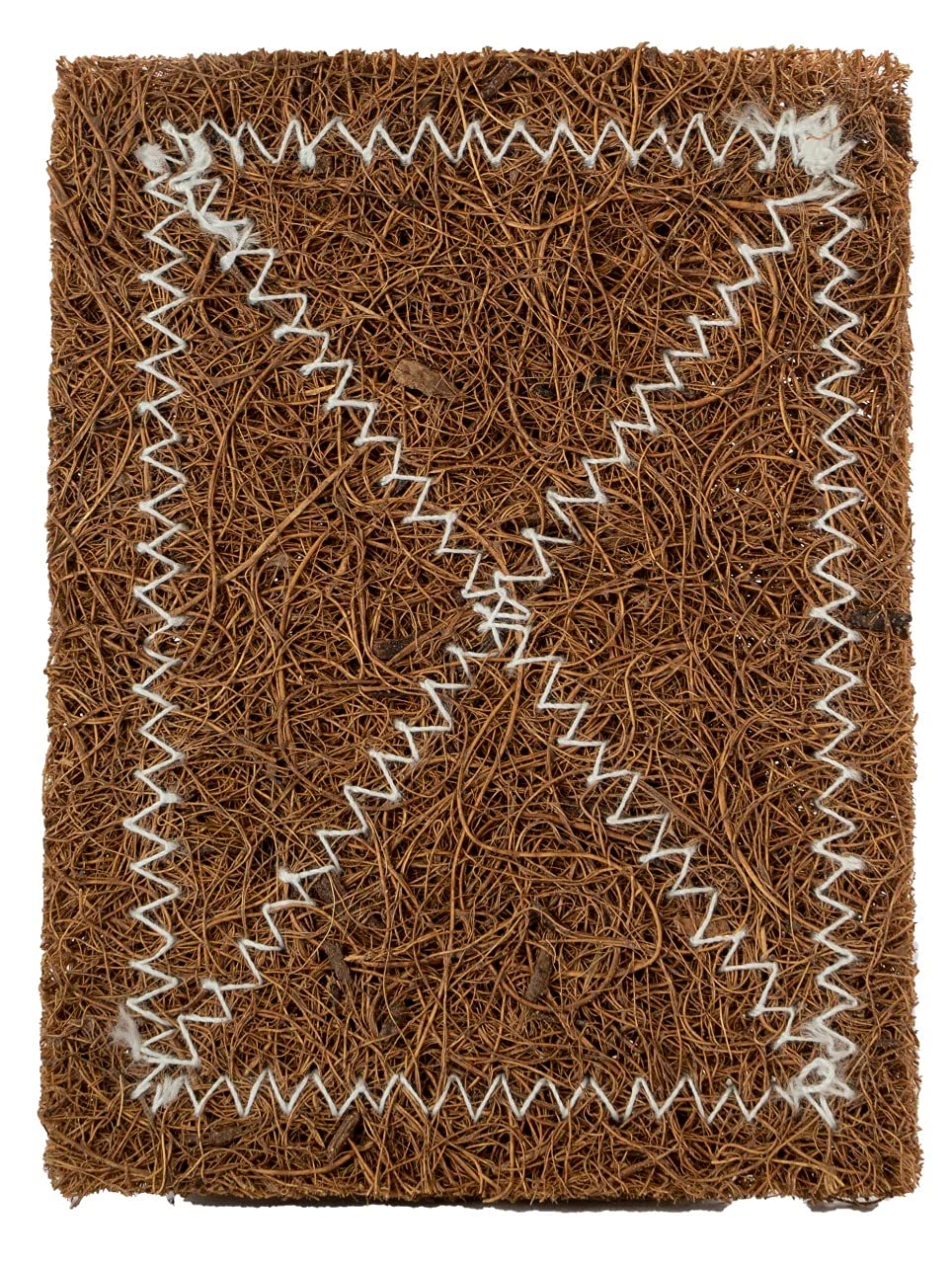 TREEWISE Sponges, Coconut Coir Scrub-Pad, Natural & 100% BIO-DEGRADEABLE & COMPOSTABLE for Kitchen and Hotels, 10 PAck