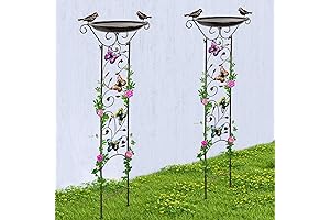 Metal Bird Bath with Garden Trellis