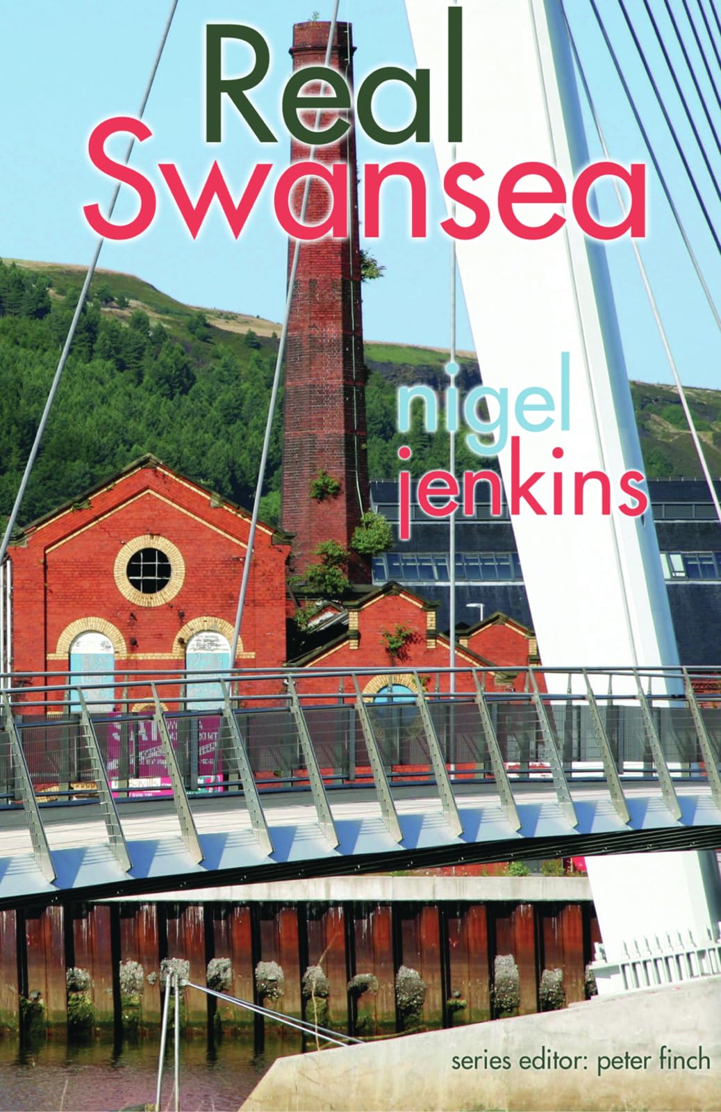 Real Swansea (The Real Wales series)