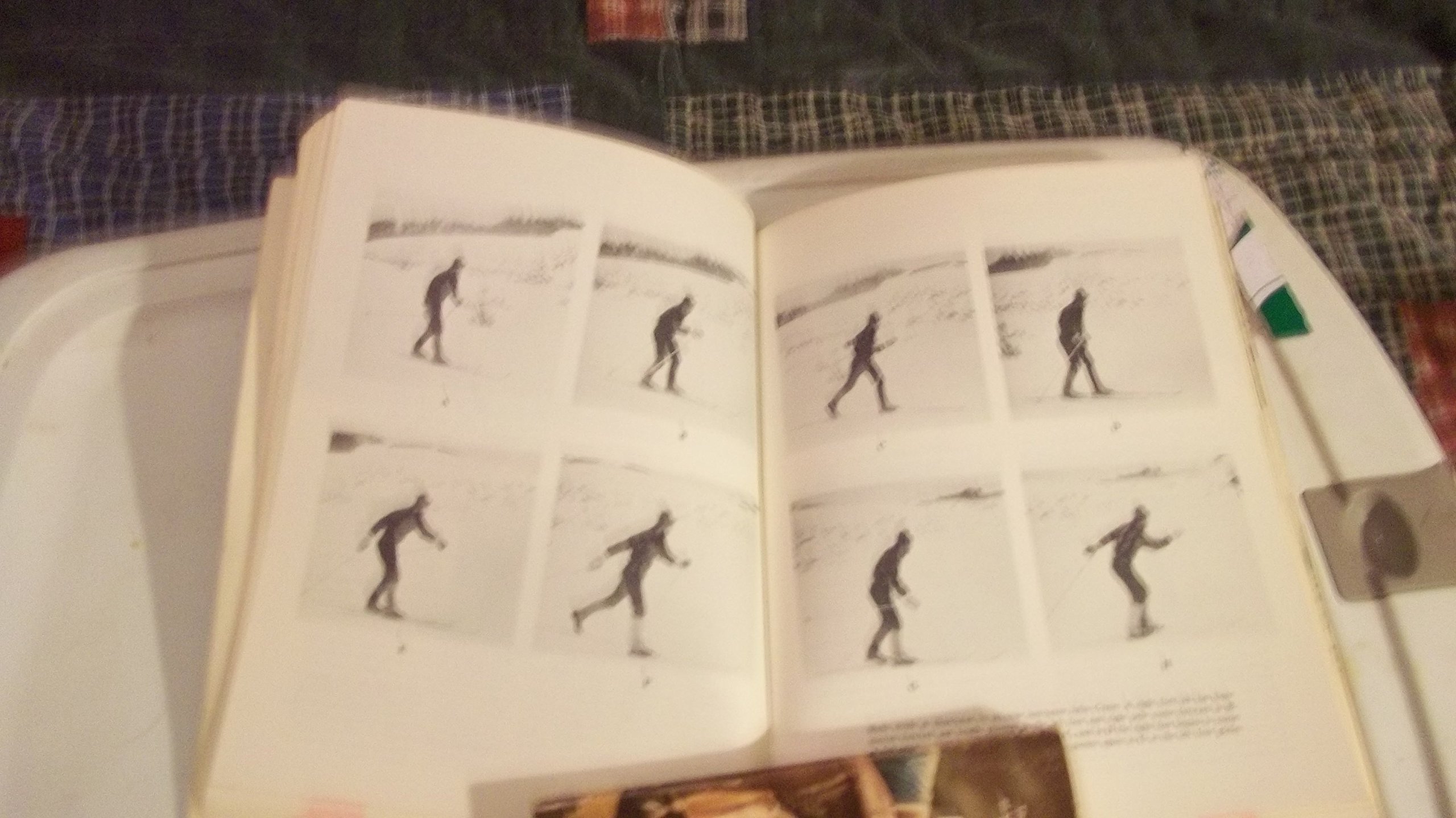 The Cross-Country Skier's Bible, With a Section on Snowshoeing