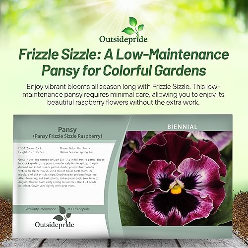 Miniatura 6 de Outsidepride Pansy Frizzle Sizzle Raspberry - Planta de interior o jardín al aire libre para camas fronteras macetas y recipientes 50 semillas