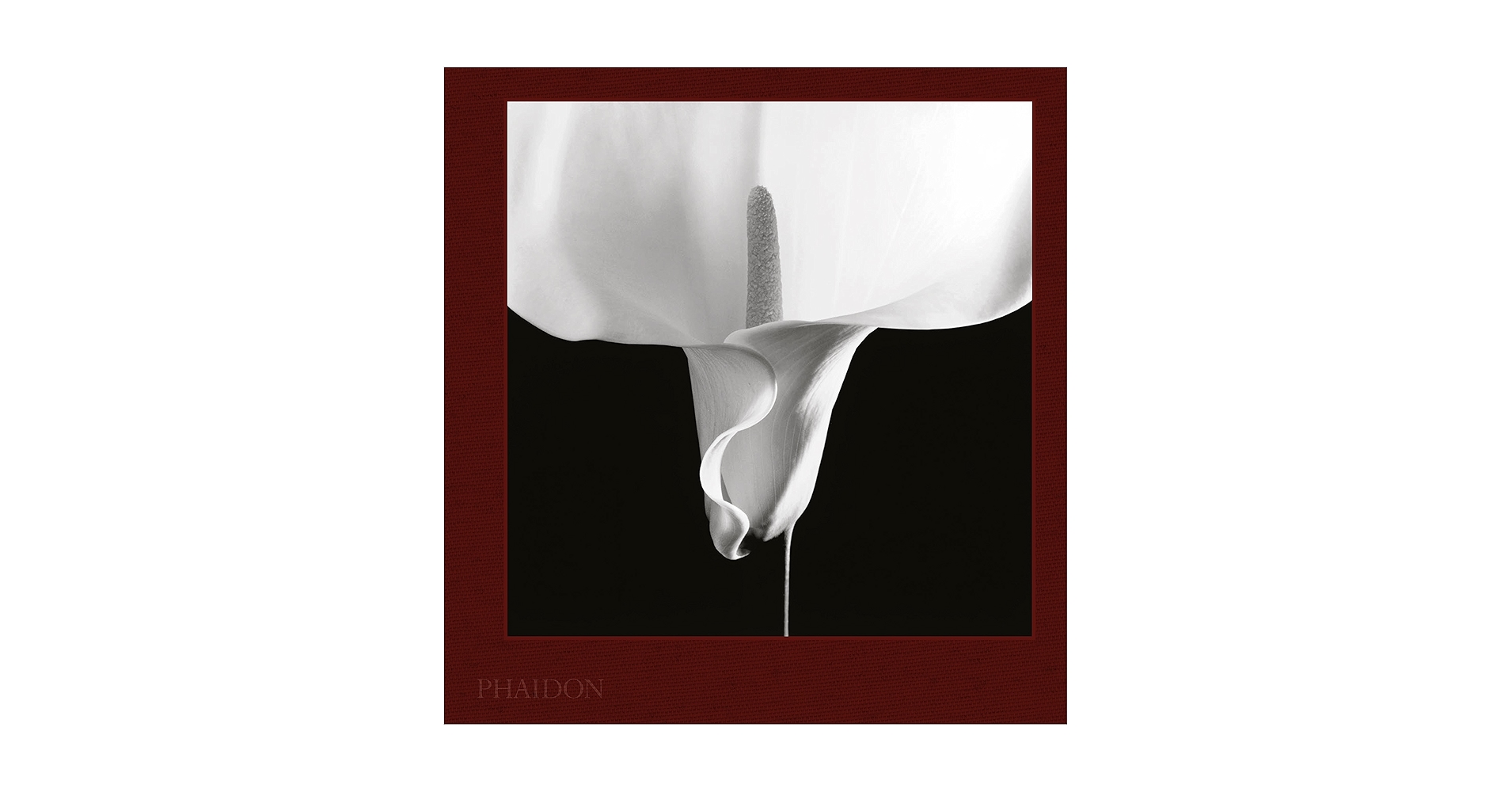 Mapplethorpe Flora: The Complete Flowers: Holborn, Mark, Levas