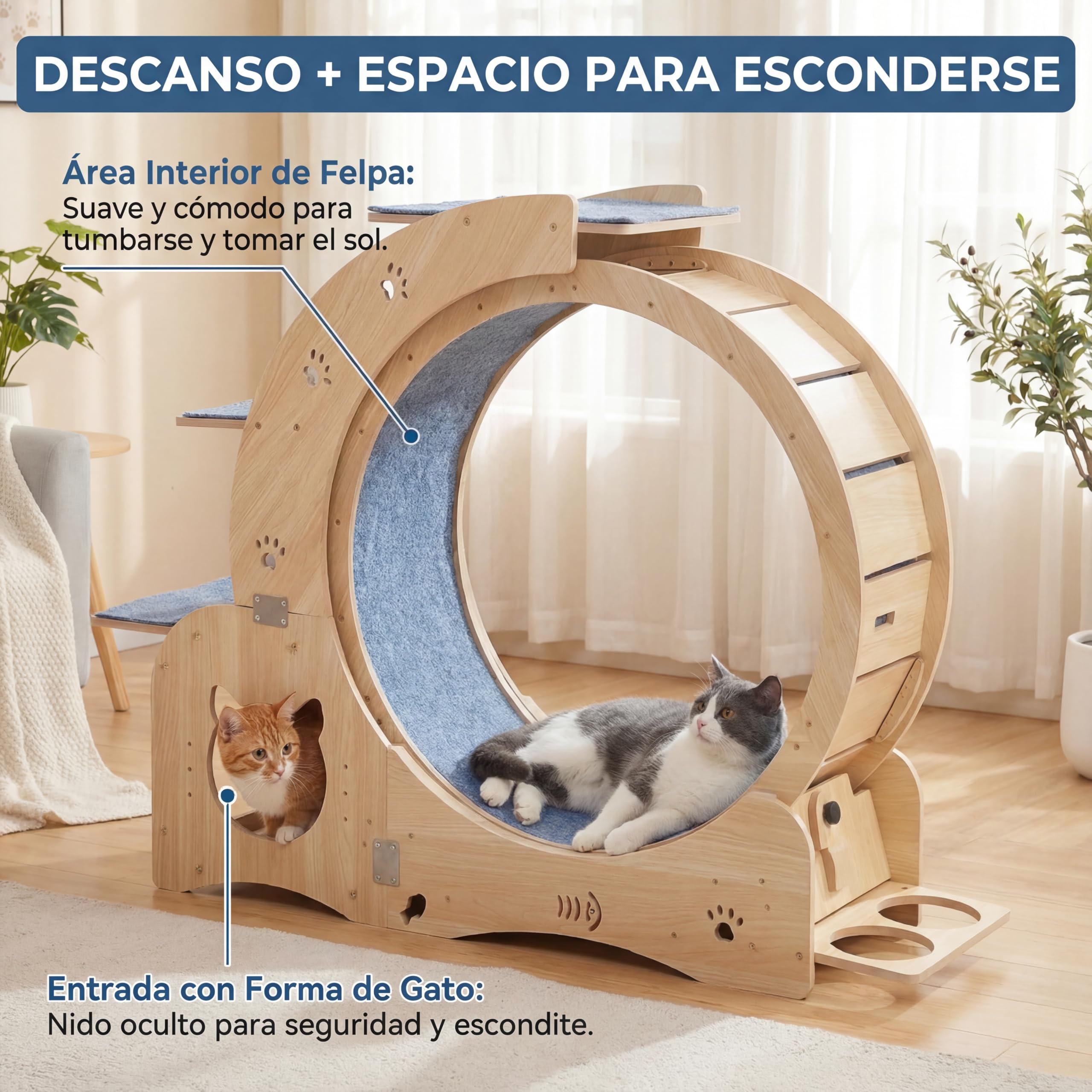 Rueda de Ejercicio para Gatos de Madera Maciza 5 en 1 (100cm) con Casita Integrada, Rascador, Plataformas y Cuencos – Cinta de Correr Silenciosa y Estable para Gatos Grandes y Perros Pequeños