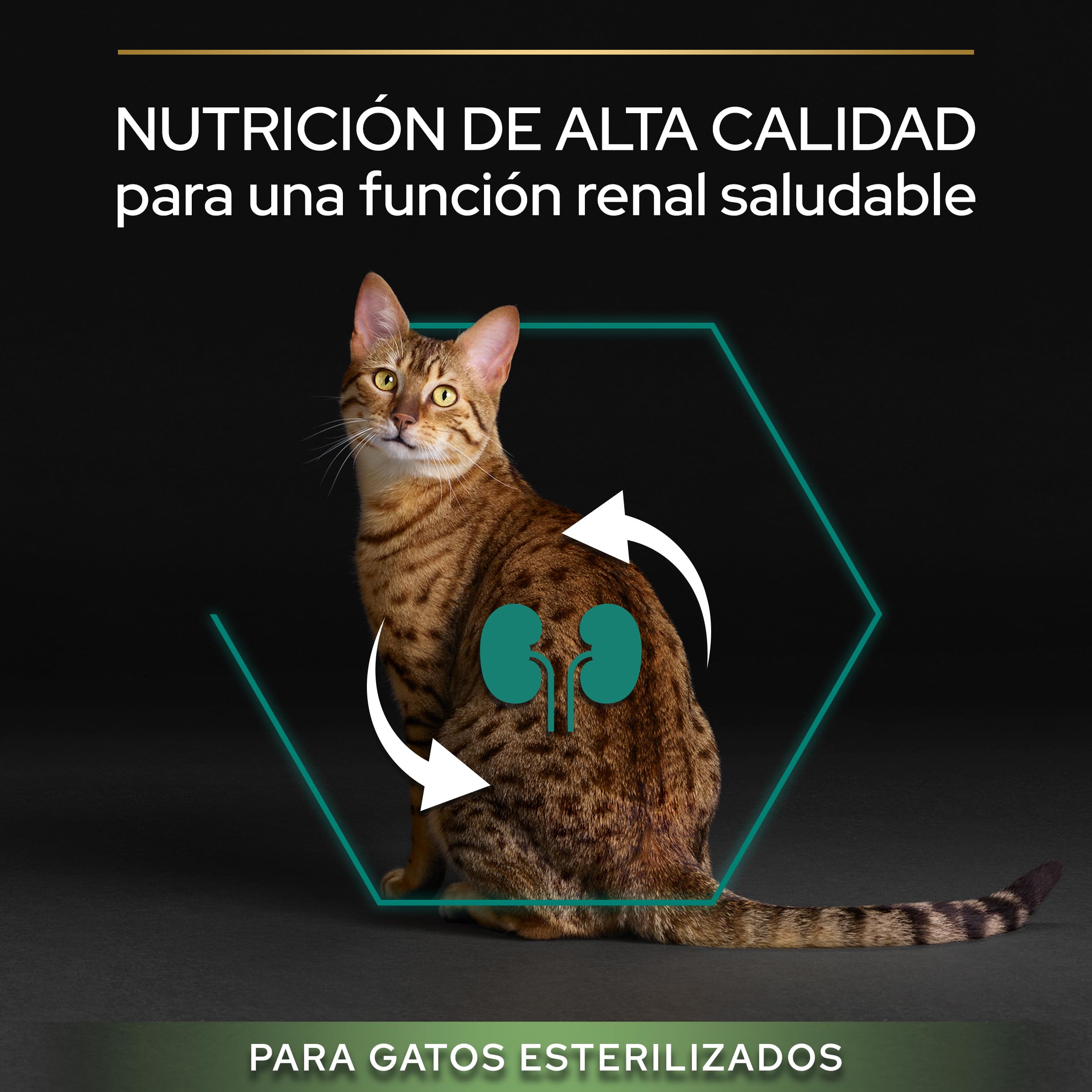PURINA PRO PLAN Sterilised, Pienso para Gato Esterilizado Adulto, Comida Seca para gato con Pavo, 1 Saco de 10 kg