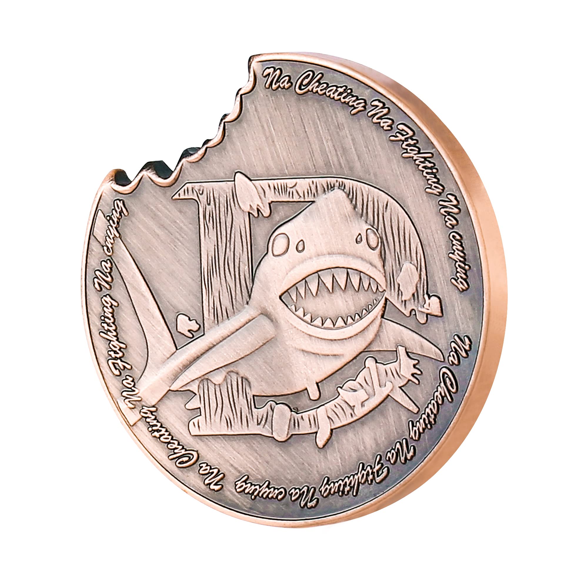 LuluCircle Poker Guard, Weights for Poker, Poker Gifts for Men, Poker Card Protector, Poker Accessories, Coin Collectibles, Poker Chips Coin with Plastic Case