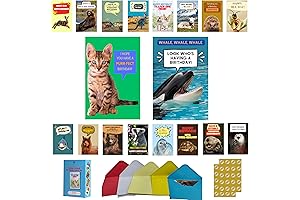 Assorted Bulk Happy Birthday Cards