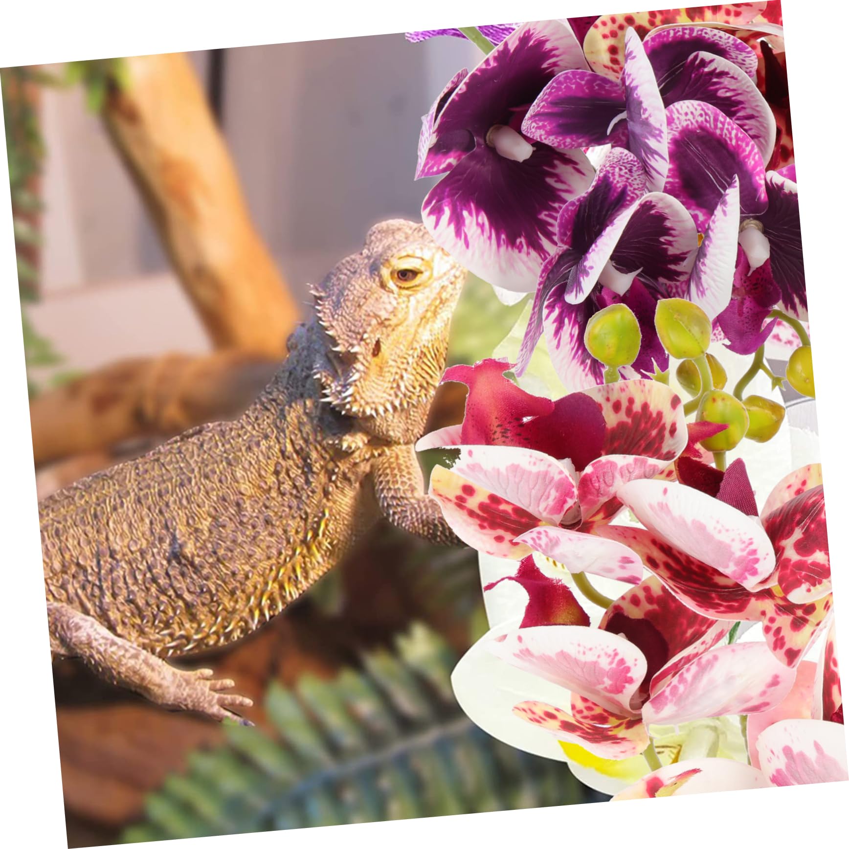 Angoily 4piezas Plantas Artificiales para Terrarios y Acuarios Decoración De Reptiles Accesorios para Tortugas y Lagartos Ornamentos Naturales Lifelike