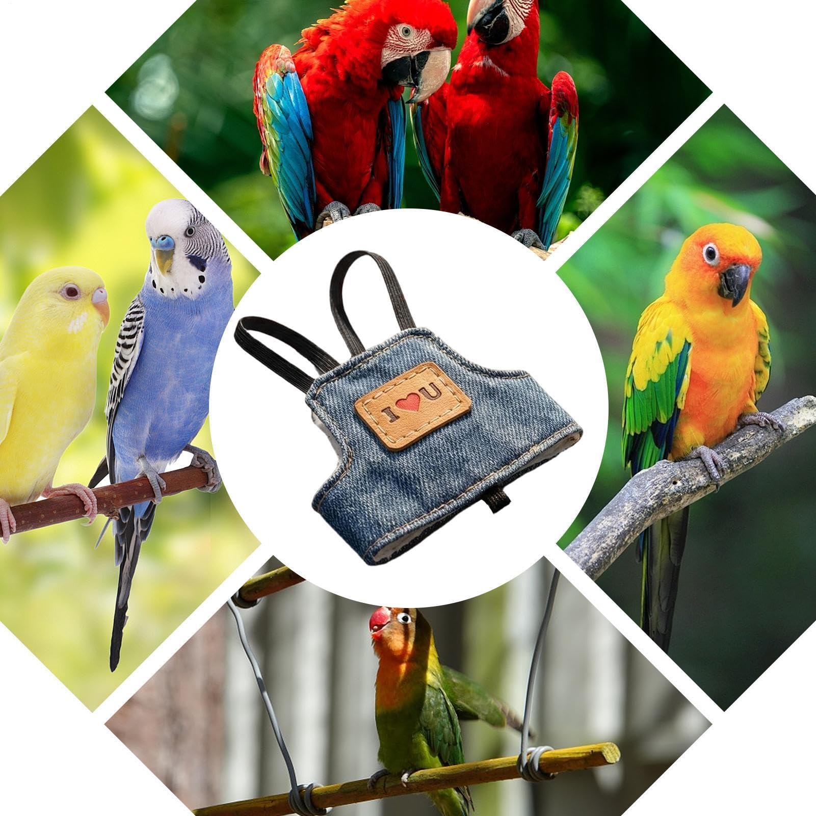 Generisch Pettorina per uccelli, regolabile, antiscivolo, con guinzaglio di sicurezza, per allenamento all'aperto, gilet da corsa sicuro per animali domestici come inseparabili, pappagalli grigi