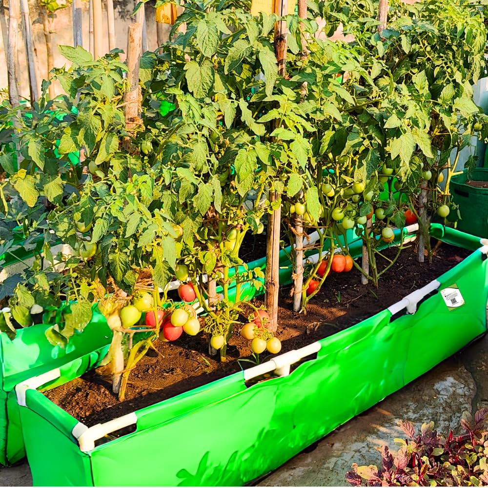 ORGANIC BAZAR 60x15x15 Rectangular Grow Bag with Supporting PVC Pipes for Terrace Garden, Premium HDPE 350 GSM Raised Planter (Pack of 1) (B09L7TT3XD) Amazon Price History, Amazon Price Tracker