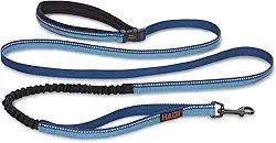 HALTI Coleira ativa – Prêmio Bungee Dog Leash, Absorvente de Choque, Cinto e Guia Acolchoados de Neoprene All-in-One, Perfeita para Corrida e Treinamento com Cães Médios e Grandes (Tamanho Grande,