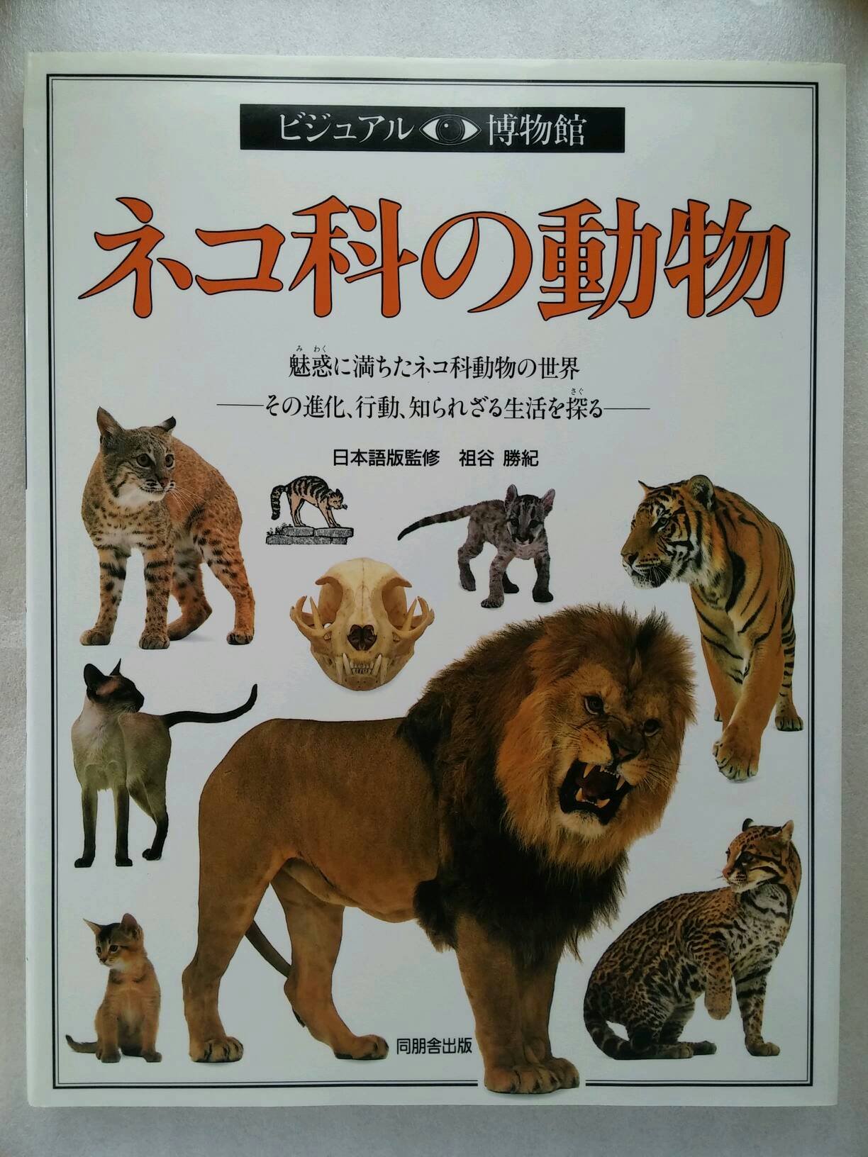 ネコ科の動物 ビジュアル博物館 ジュリエット クラットン ブロック Clutton Brock Julliet リリーフシステムズ 本 通販 Amazon