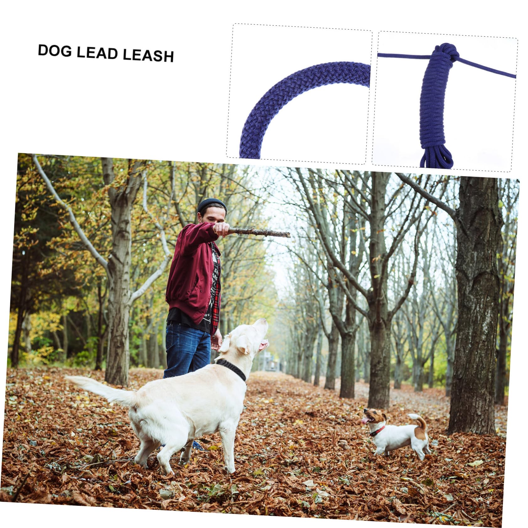 Longe pour Promenade Crochet pour Résistante aux Morsures 10m en Polypropylène, Bleue Chien Dressage