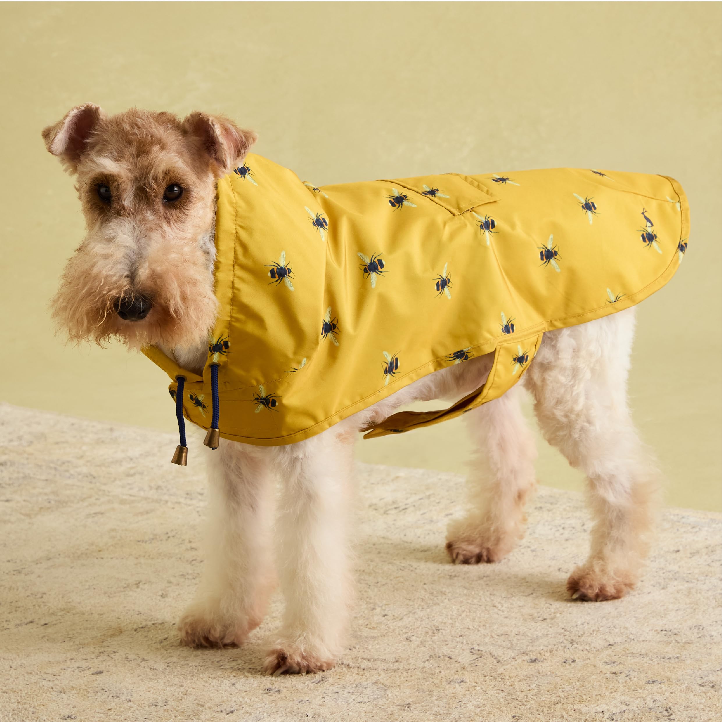 Rosewood x Joules Bee Print Packaway kurtka dla psa, średnia, lekka, wodoodporna kurtka z kapturem, regulowane zapięcia na rzepy, przenośna do podróży i spacerów