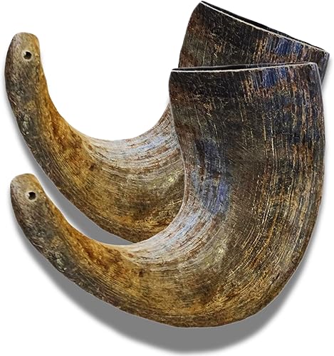 WhiteTail Naturals - Cuernos de búfalo de agua para perros (paquete de 2 grandes) Hueso de perro de cuerno de búfalo totalmente natural - Juguete WhiteTail Naturals - Cuernos de búfalo de agua para perros (paquete de 2 grandes) Hueso de perro de cuerno de búfalo totalmente natural - Juguete