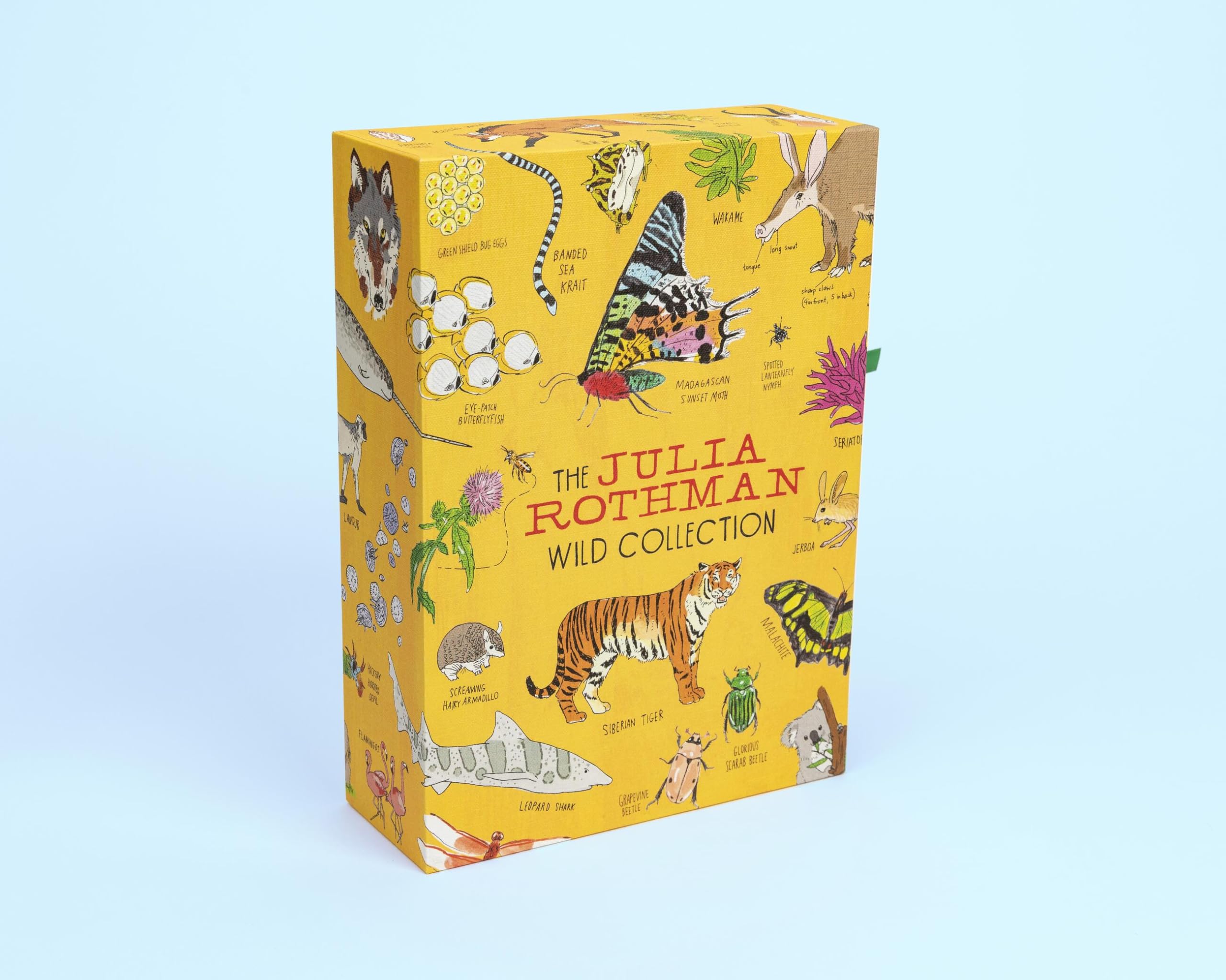 The Julia Rothman Wild Collection: Ocean Anatomy, Wildlife Anatomy, Insect Anatomy