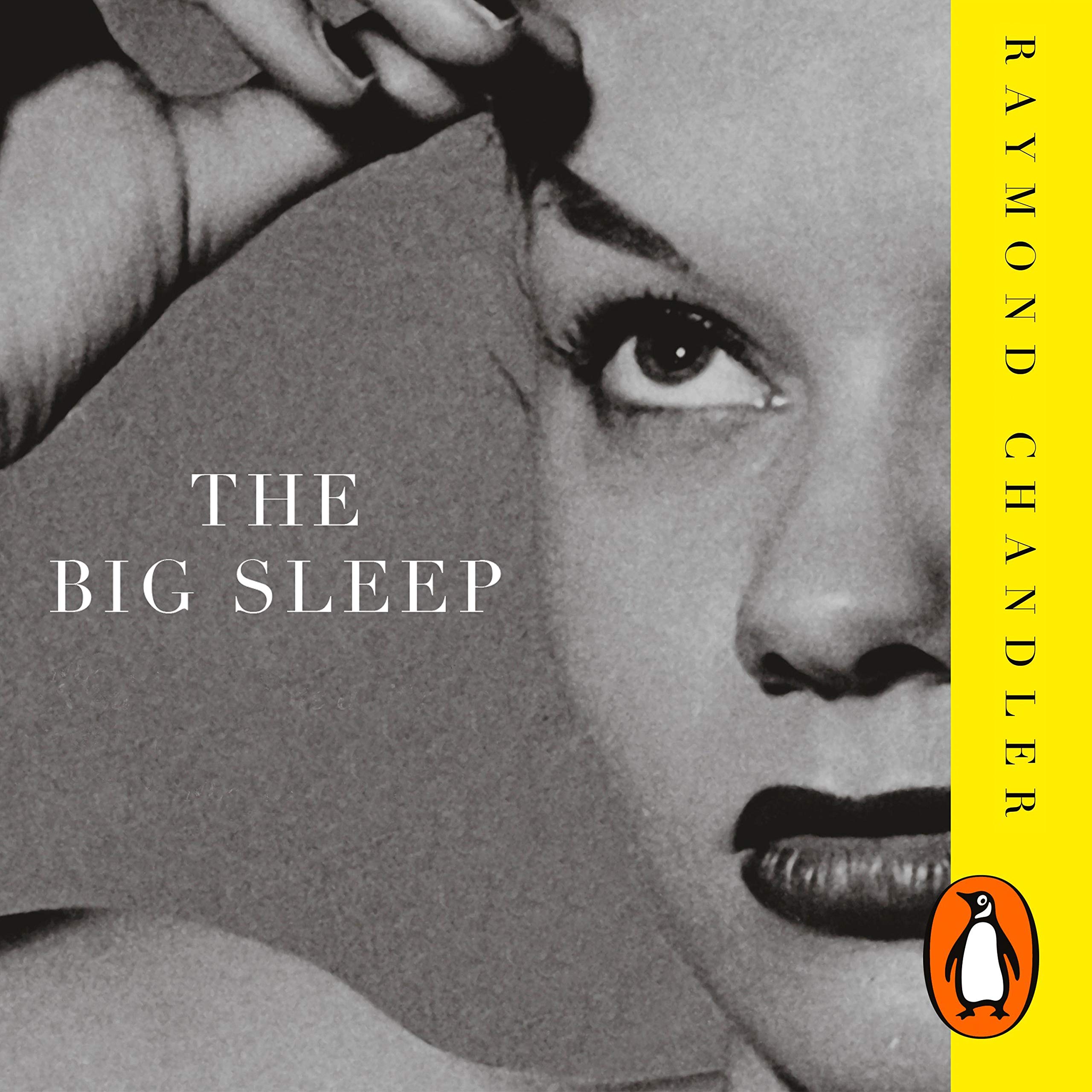 Cover art for The Big Sleep