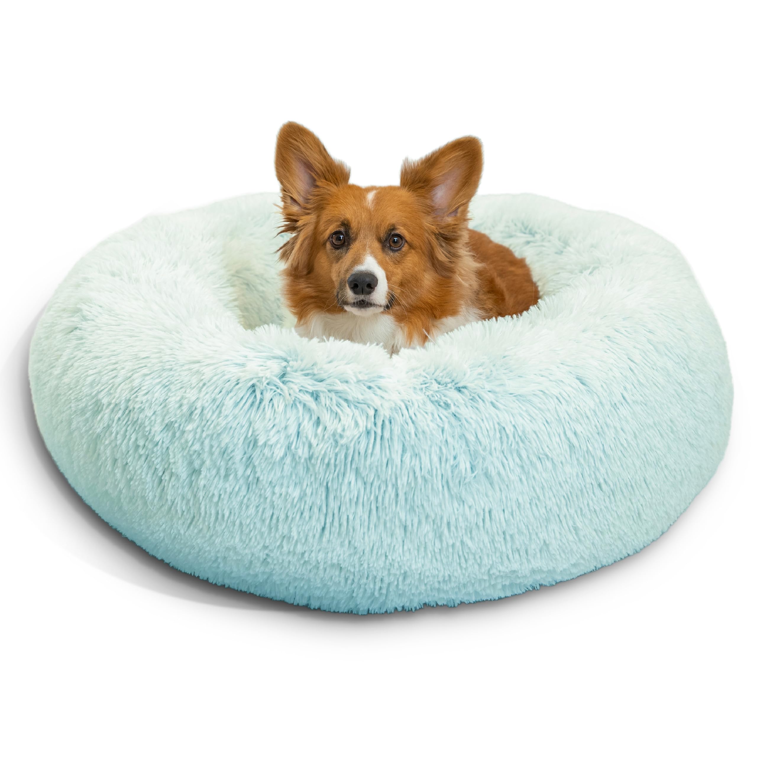 Best Friends by Sheri The Original Calming Donut Dog Bed for Medium Dogs up to 45 lbs, Shag Faux Fur, Baby Blue, 30" x 30"