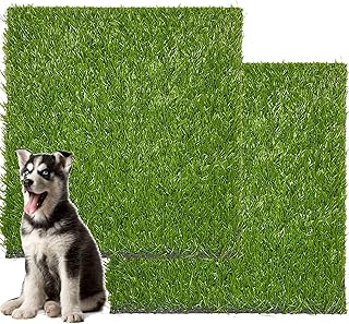 Artificial Grass for Dogs, 2 Pack Durable Artificial Grass Mat, 63x51cm Indoor Outdoor Puppy Grass Toilet for Potty Training Fake Grass Turf Dog Grass Pee Rug, Patio Lawn Decoration
