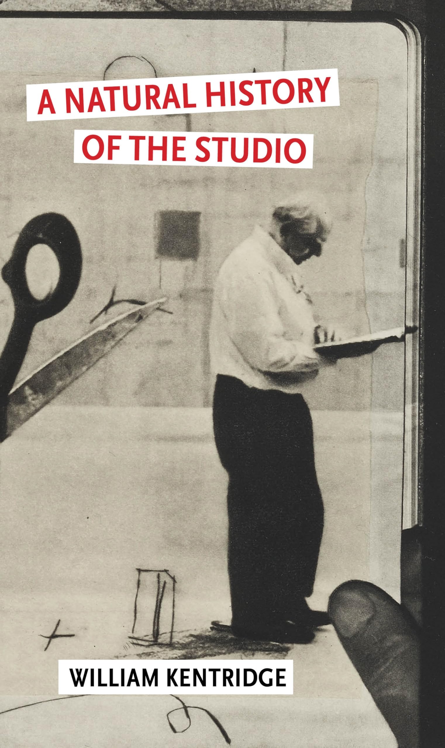 Natural History Of The Studio