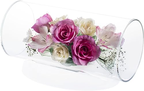 Miniatura 10 de Rende Roll QB-B Artificial Plant Pink H14.5x19.5x19.5 Rende Roll