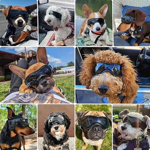 PETLESO Small Breed Dog Goggles, Sunglasses with UV Protection for Outdoor Riding & Driving, Black(Black,Medium)