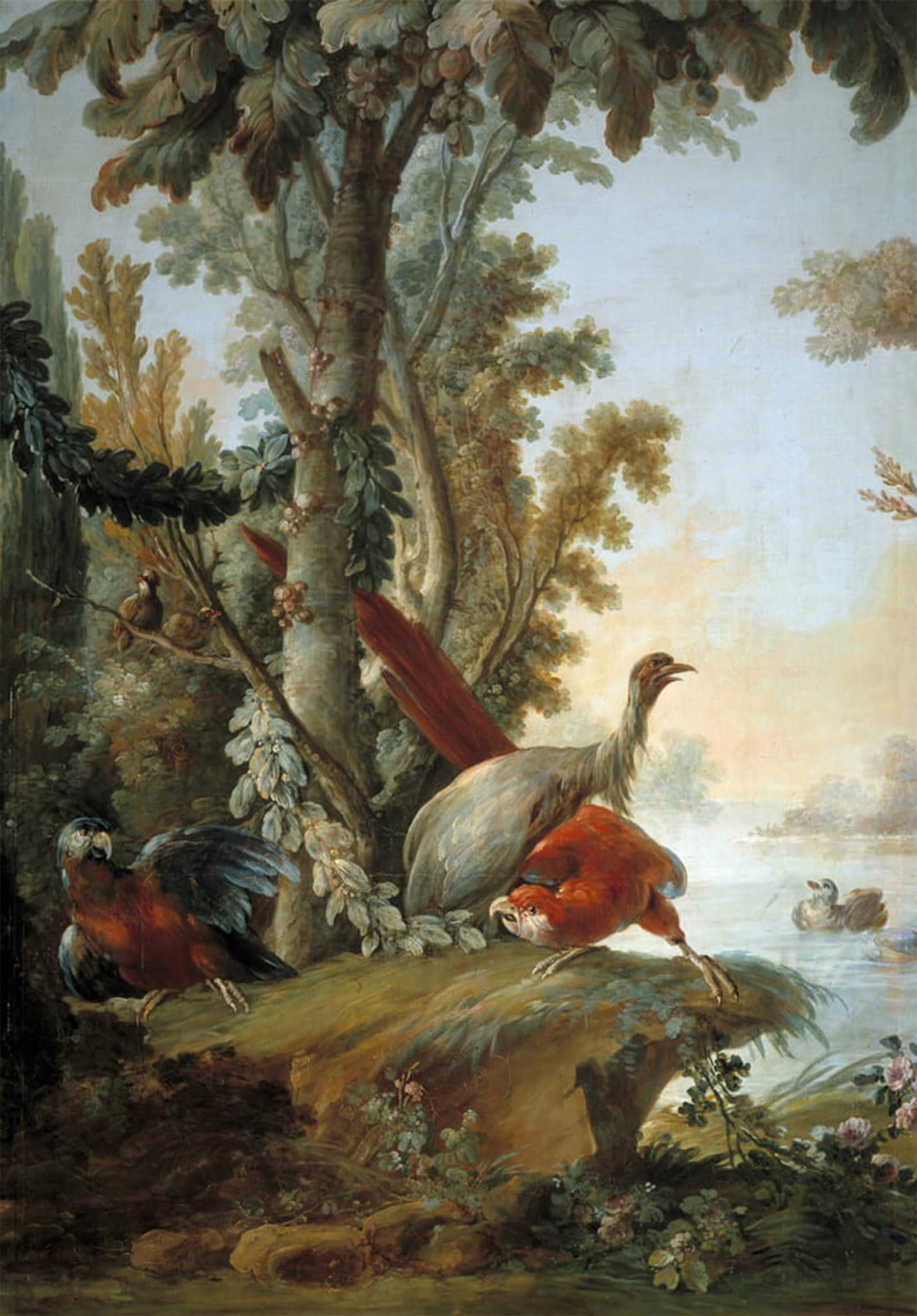 ARTXLXXBN Famous Print Painting Colorful Art Print Herons and parrots by François Boucher Canvas Art Decorations for Home Decor 60x90cm