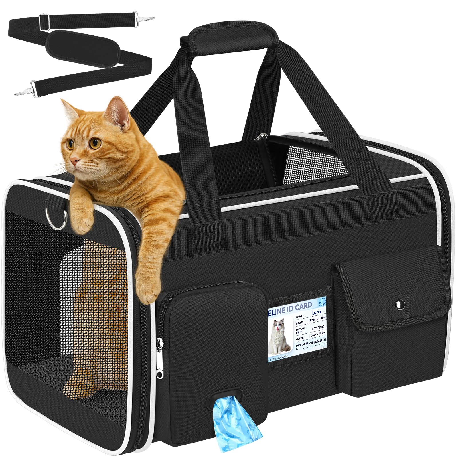 TEUEN Soft Sided Cat Carrier Airline Approved - Anti-Scratch Travel Bag for Cat/Dog/Small Pets, 360° Mesh Windows, Foldable with Washable Mat & Safety Leash (Up to 9kg) — image 1