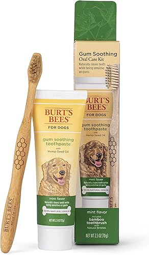 Burt's Bees Kit de cuidado bucal para perros + kit de cuidado bucal, pasta de dientes calmante para perros con aceite de semilla de cáñamo y cepillo