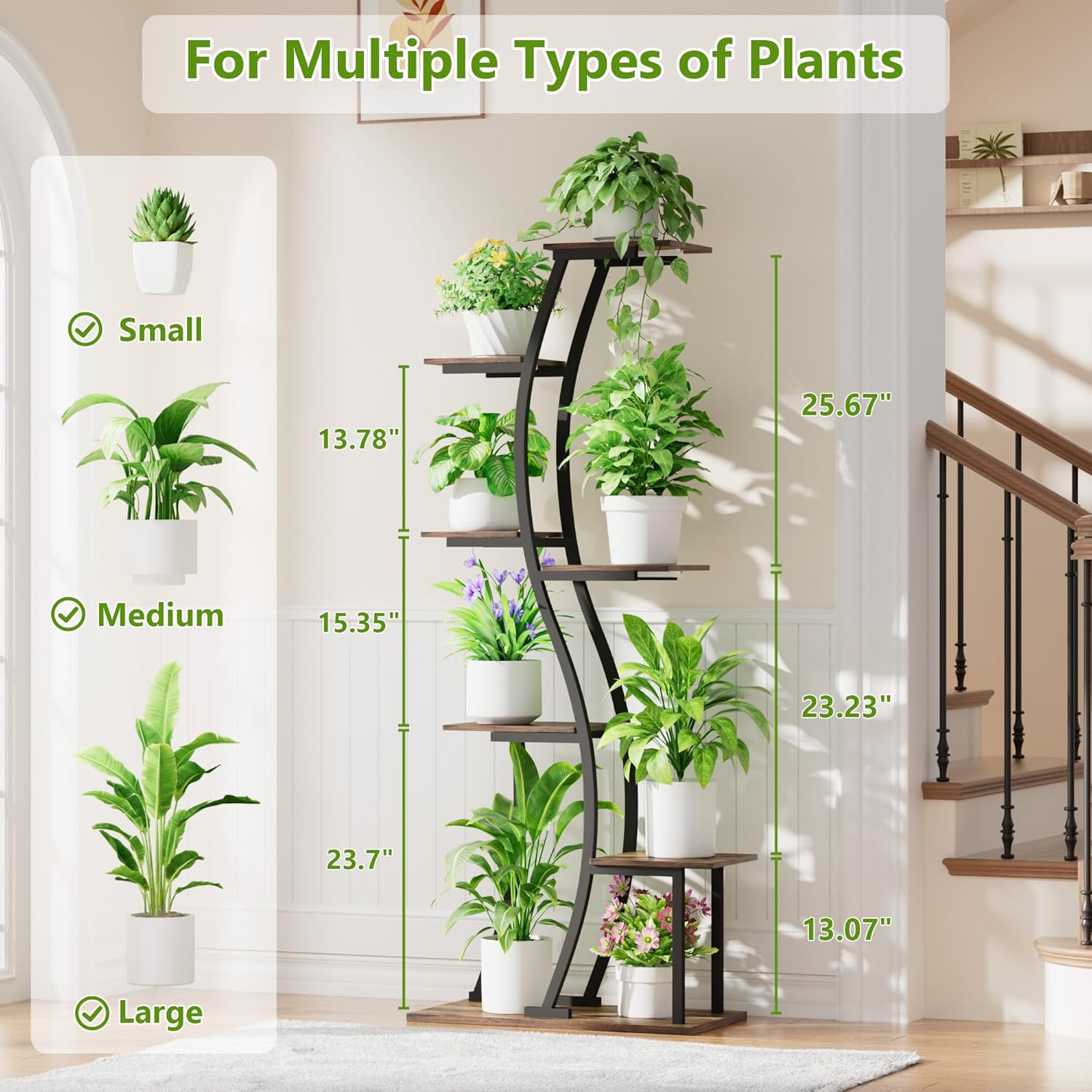 https://m.media-amazon.com/images/I/81wze-KlI6L._AC_SL1500_.jpg