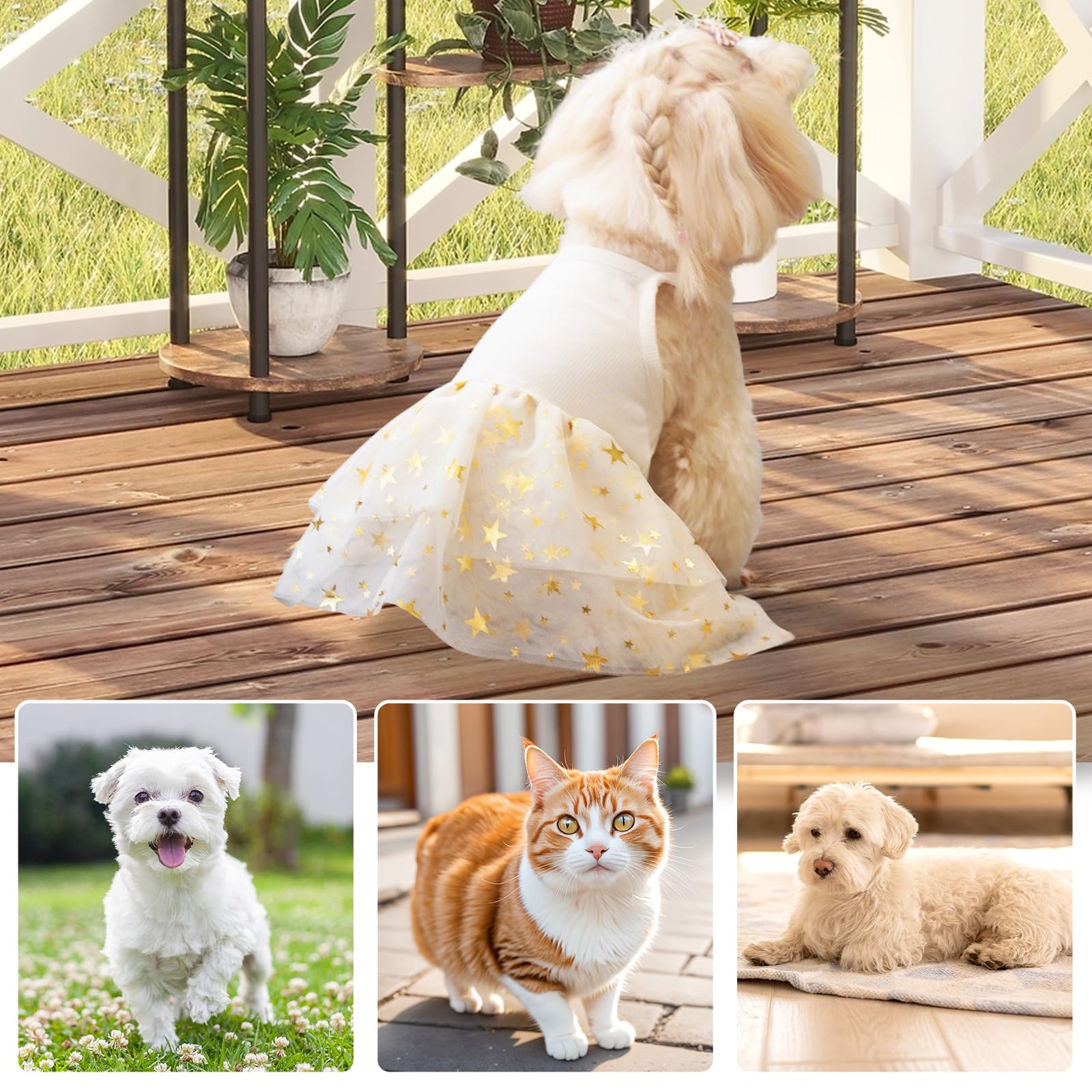 Dog Tutu Dress Cat Dogs Summer Tulle Slip Lace Dress Cute Puppy Glitter Star Skirt Pet Party Clothes for Small Medium Cat Dog (Yellow - Image 4