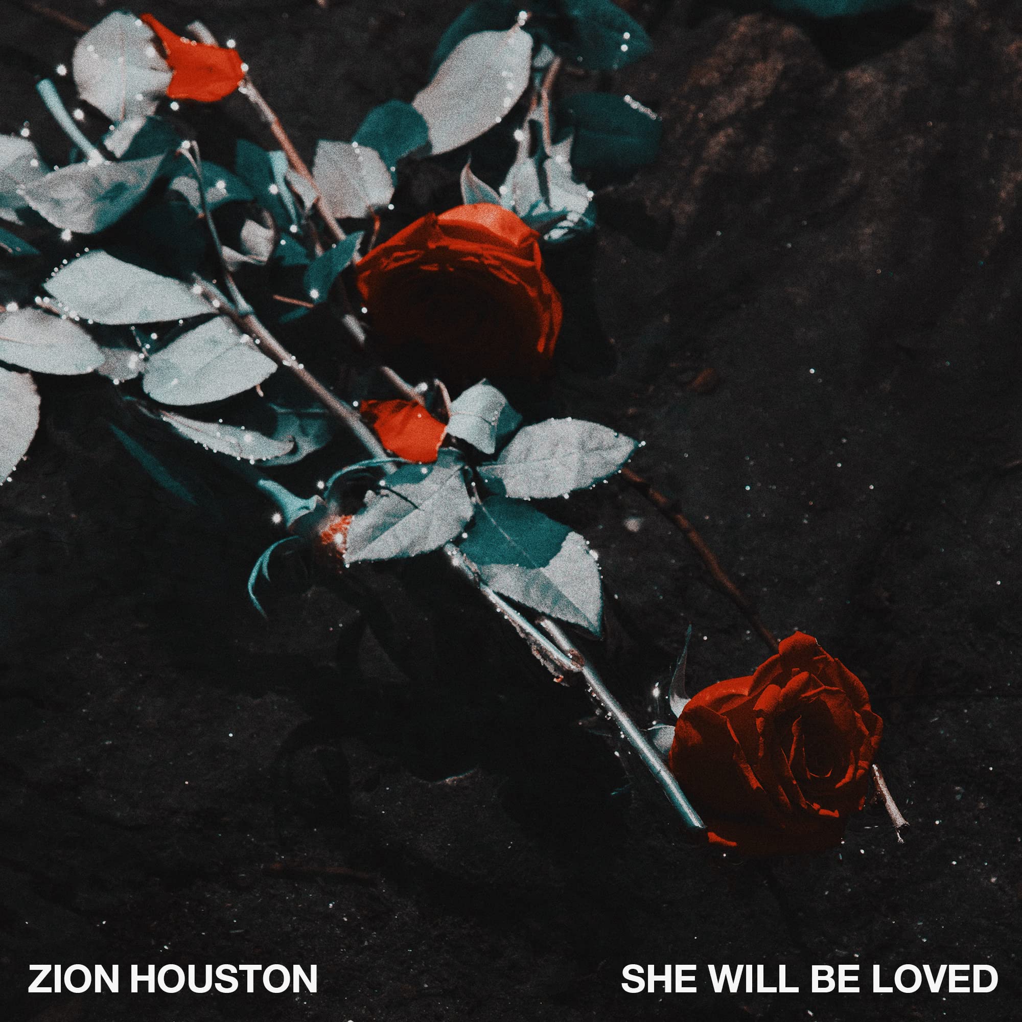 Zion Houston