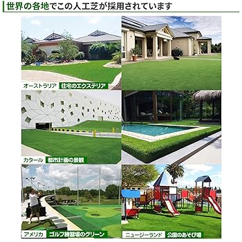 Amazon.co.jp: eモンズ 人工芝 ロール 【 リアル人工芝 1mx10m
