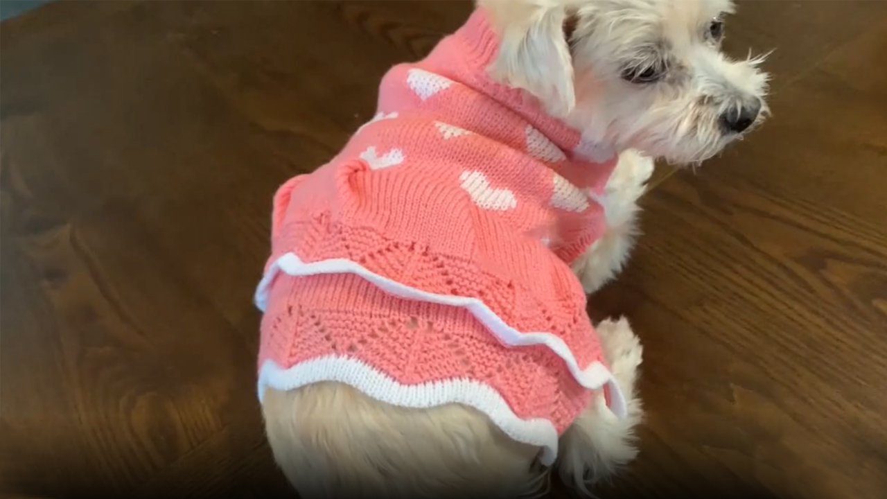 CHBORLESS Dog Sweater Puppy Dress: Warm Pet Small Dogs Clothes Winter Dog Heart Sweater Doggy Sweatshirt Doggie Coat Cat… - Image 8