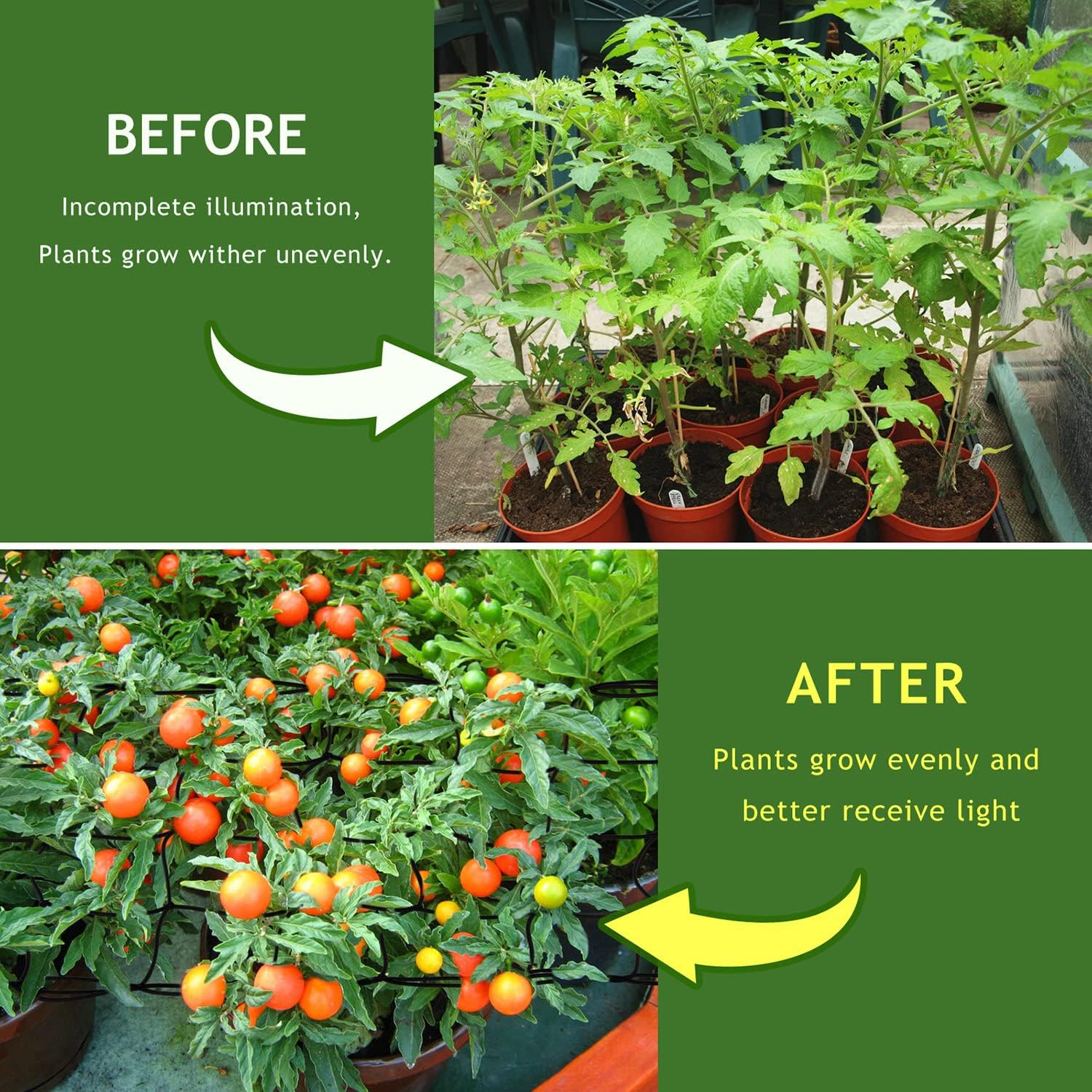 Rete Di Supporto Per Piante Rampicanti Da Giardino ... - Alibaba - Foto 3