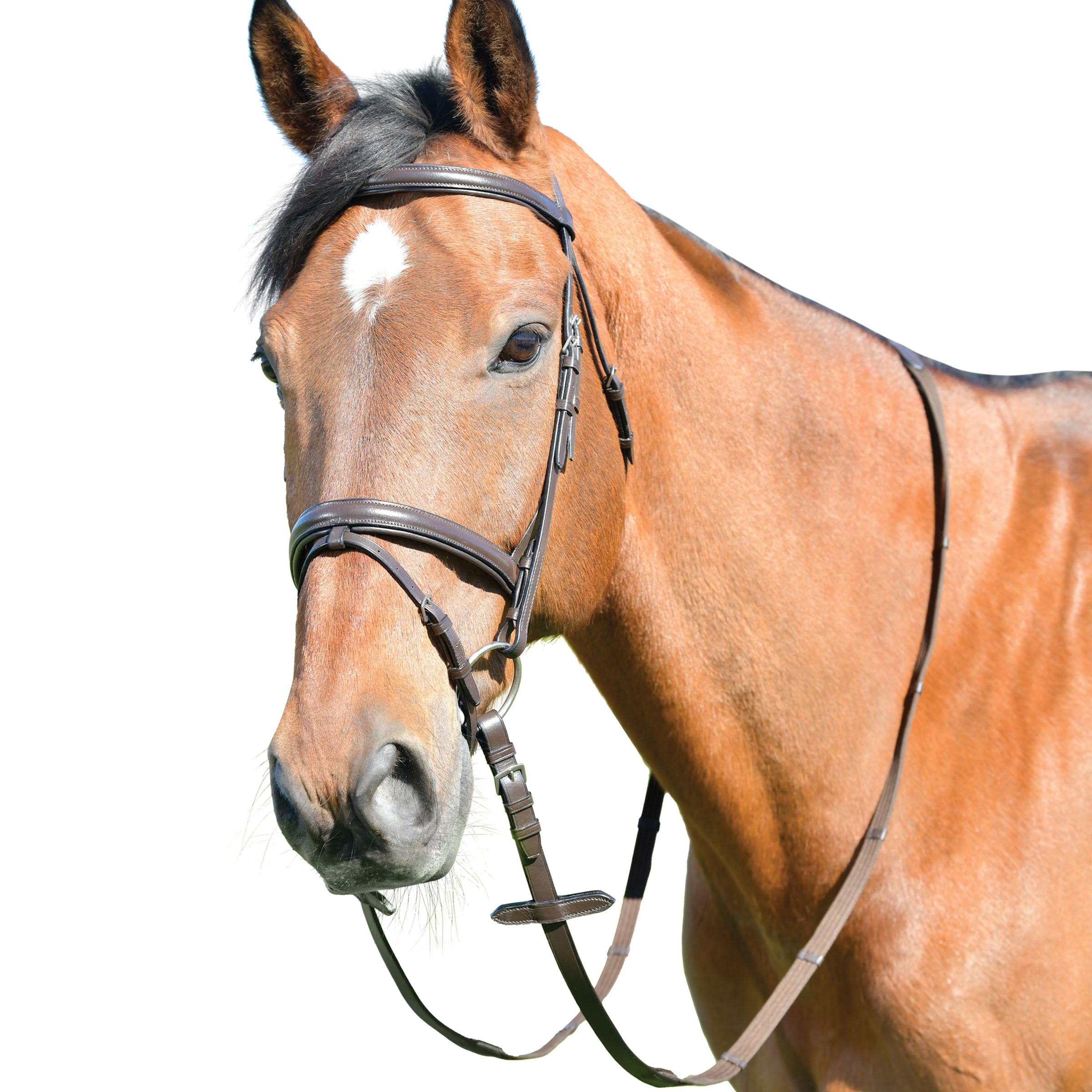 Kincade Classic Plain Raised Flash Bridle with Reins, Brown, Pony