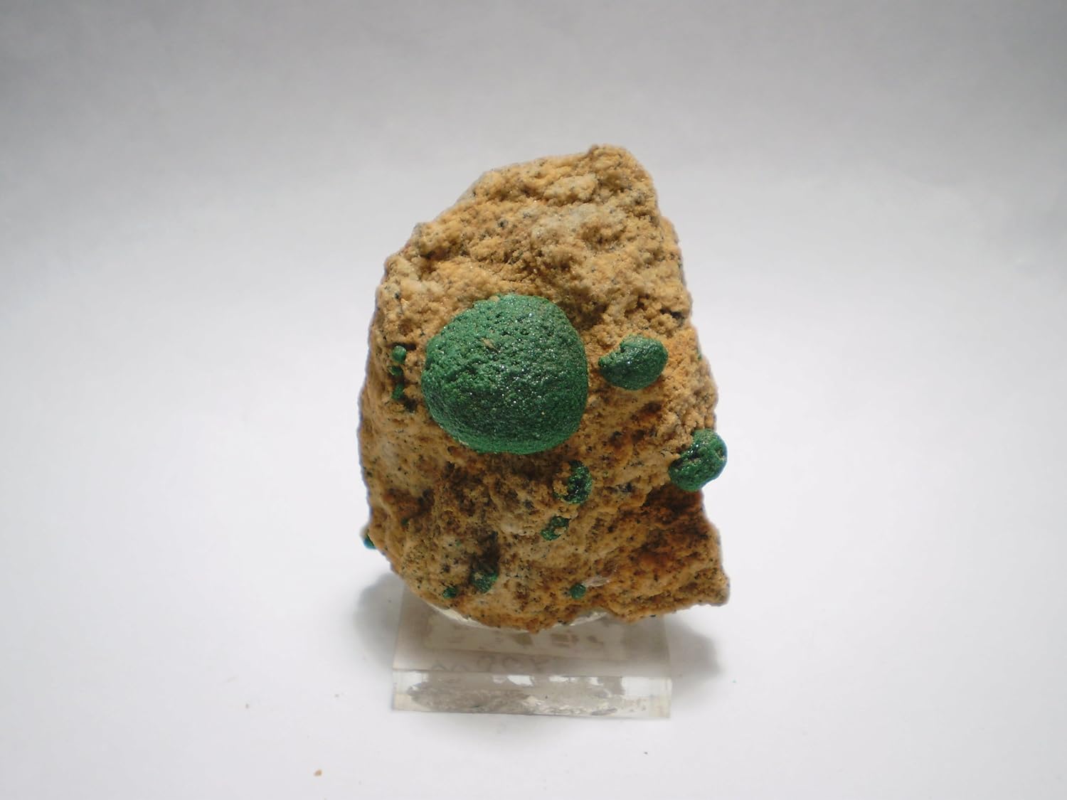 ドゥルージー クリソコラ マラカイト 共生 原石 コンゴ産 クリソコラ